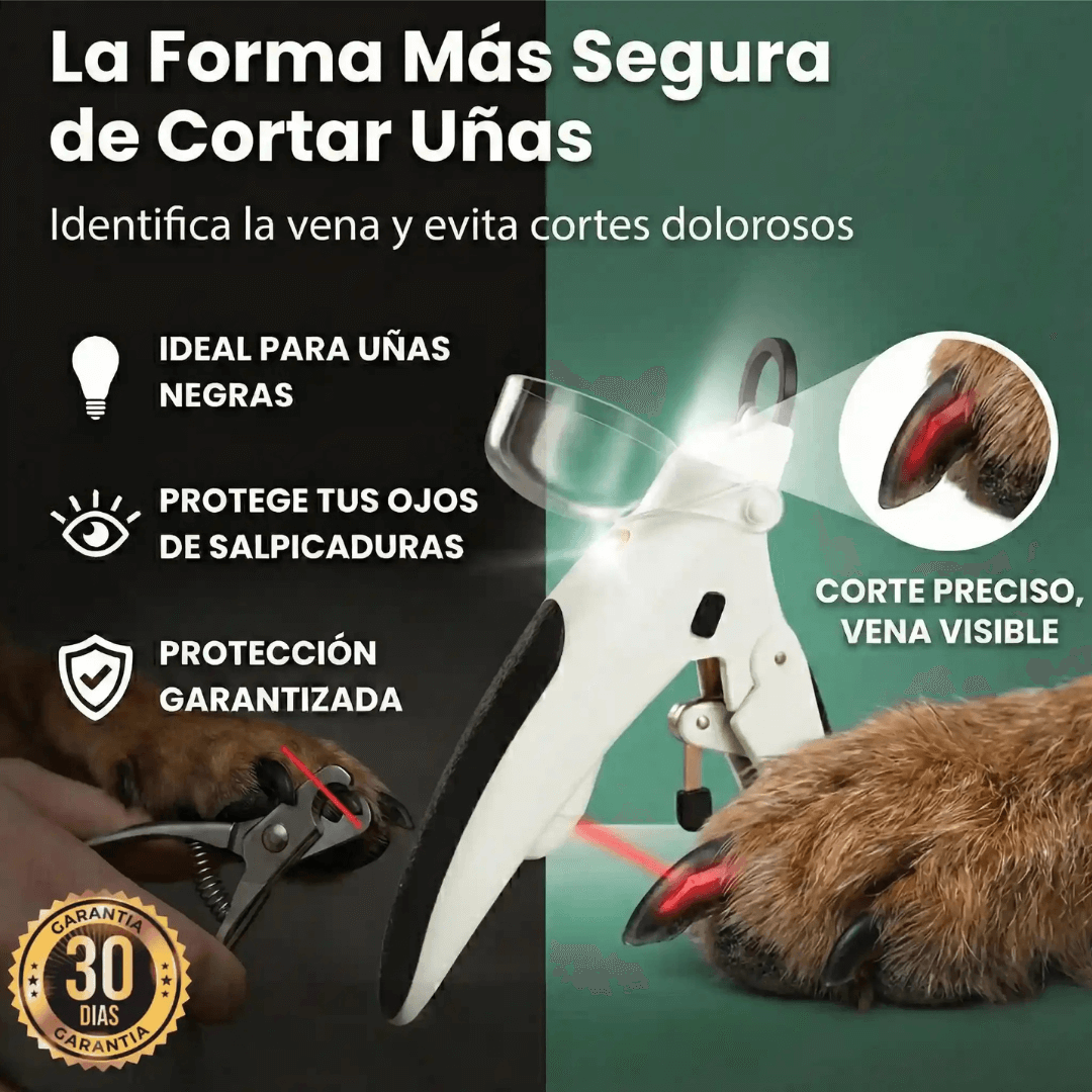 Recorta de manera precisa y segura