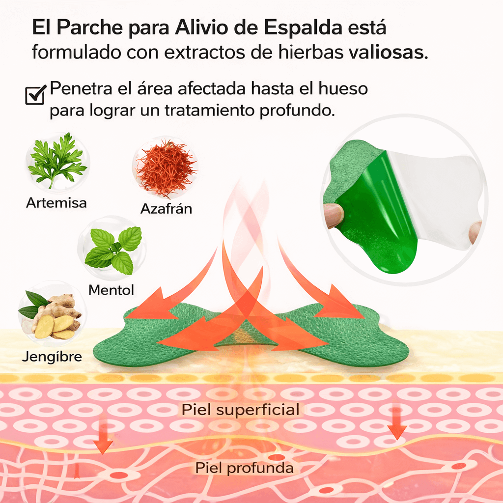 Parches para dolor de Espalda  x10 und