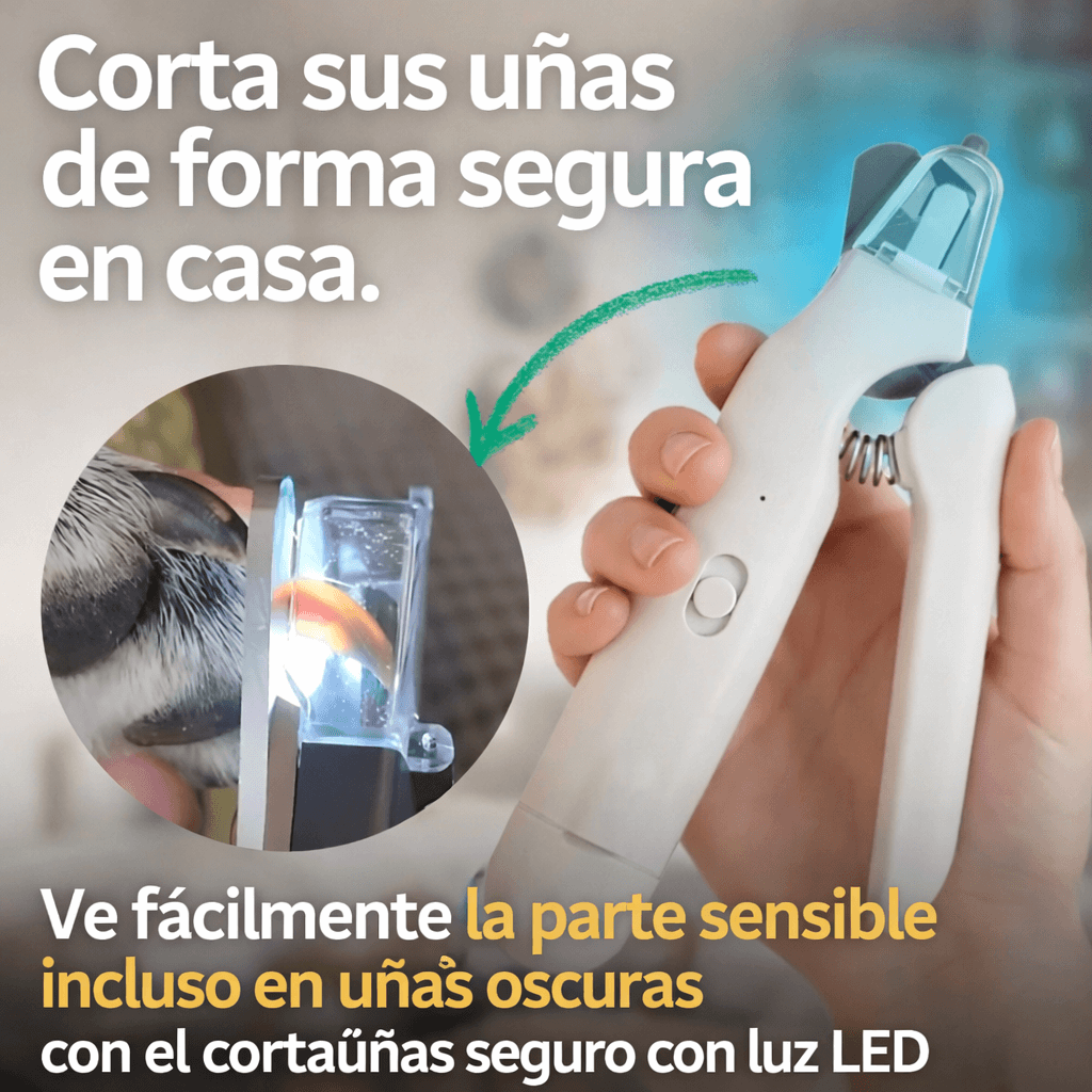 Recorta de manera precisa y segura
